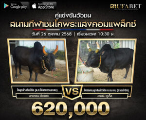 ไฮไลท์วัวชน Test1