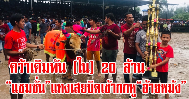 แซมซั่น เอาชนะ อ้ายหม้ง ศึกชนโคเงินเดิมพัน 60 ล้านคู่เอกที่เมืองคอน